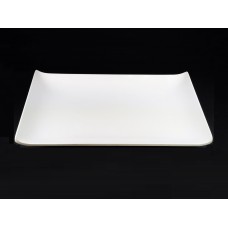 U-P15 Compostable/Biodegradable PLA Tableware Products